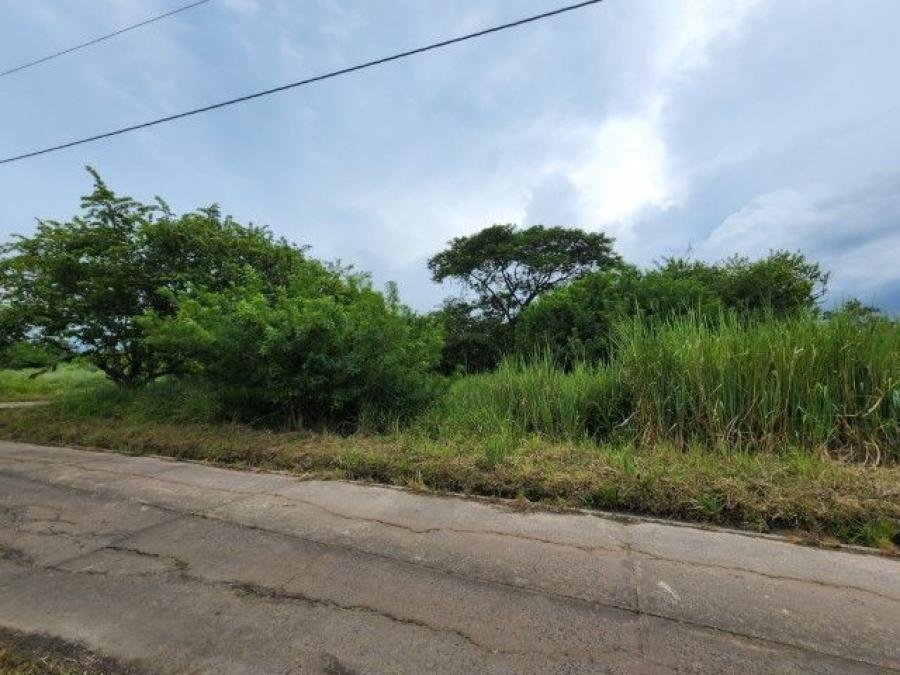 Foto Terreno en Venta en Escuintla, Escuintla - Q 23.000 - TEV47563 - BienesOnLine