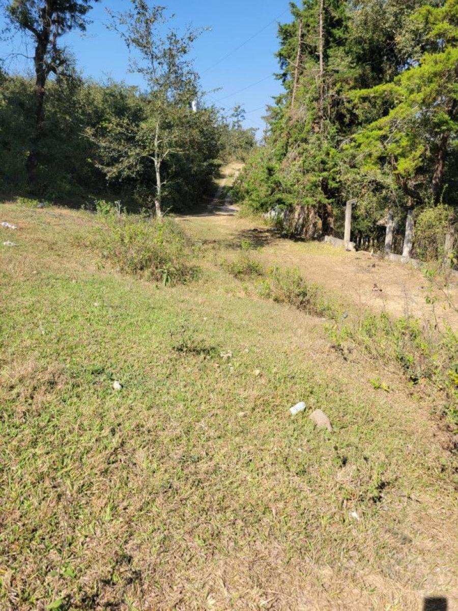 Foto Terreno en Venta en Granja Pinares del Tejar, El Tejar, Chimaltenango - Q 110.000 - TEV23282 - BienesOnLine