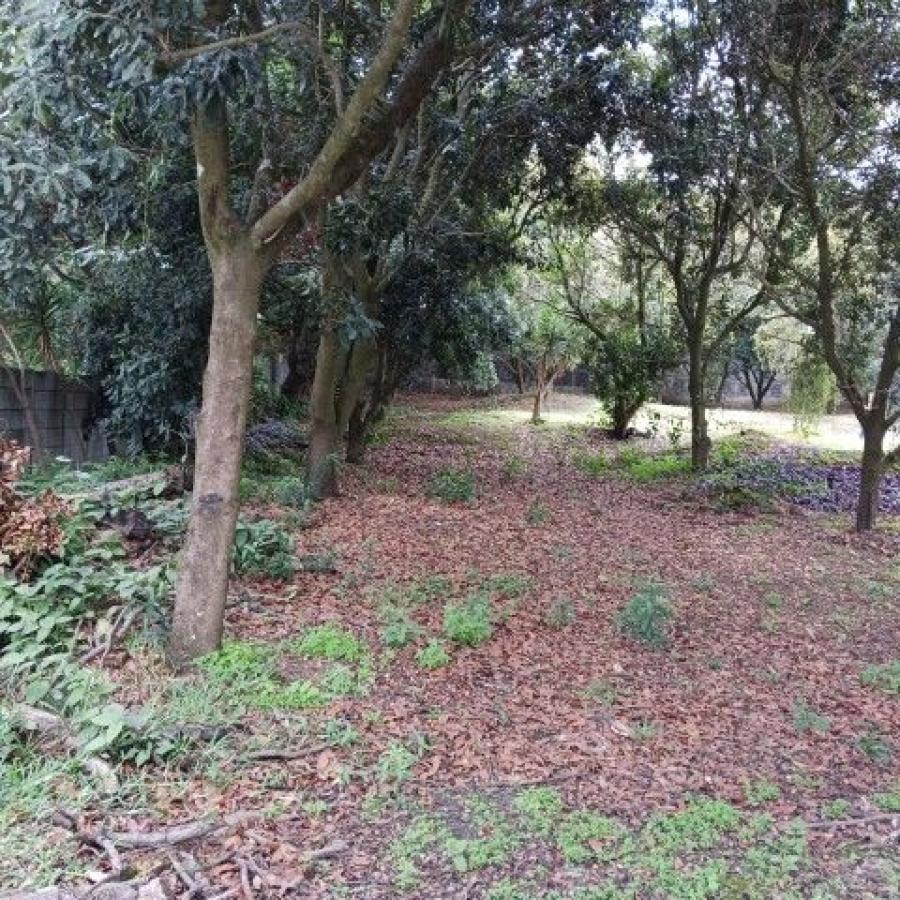Foto Terreno en Venta en San Miguel Dueñas, Sacatepéquez - Q 1.900.800 - TEV27607 - BienesOnLine