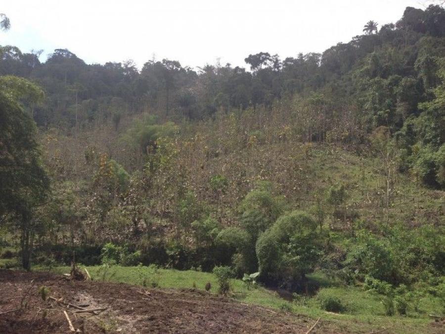 Foto Terreno en Venta en San José Pinula, Guatemala - Q 2.961.178 - TEV32058 - BienesOnLine