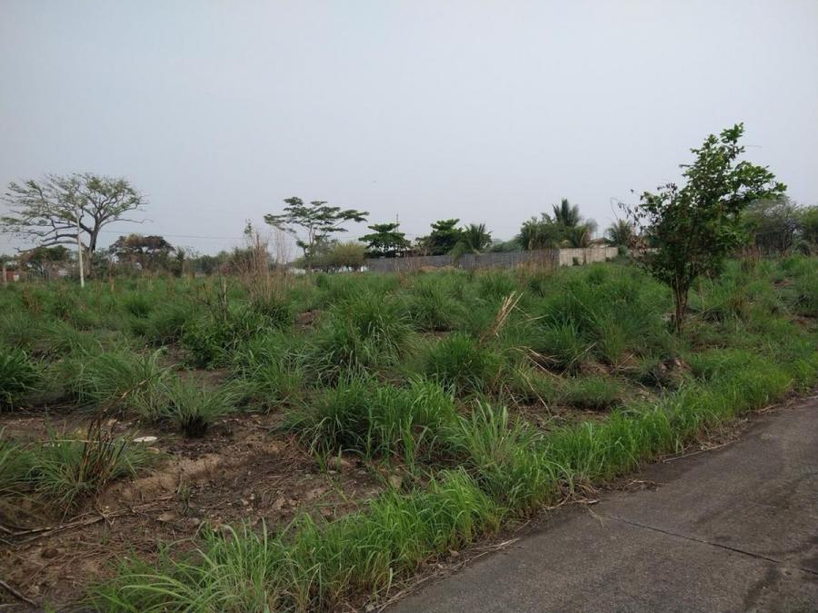 Foto Terreno en Venta en Palín, Palin, Escuintla - Q 48.000 - TEV44469 - BienesOnLine