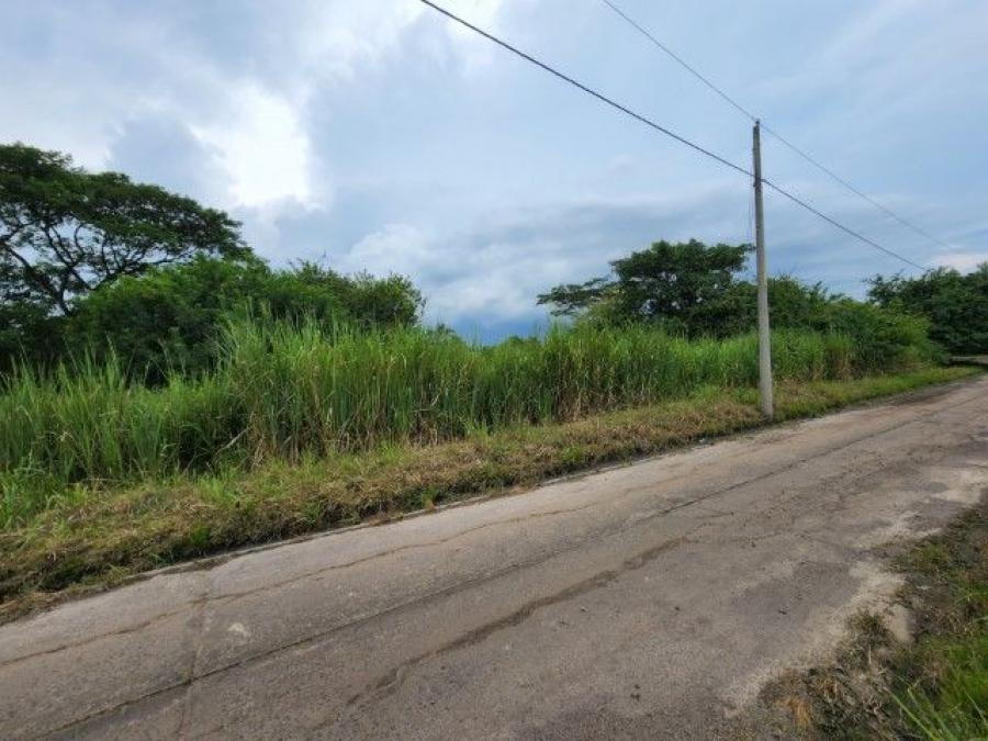 Foto Terreno en Venta en Escuintla, Escuintla - Q 23.000 - TEV47574 - BienesOnLine