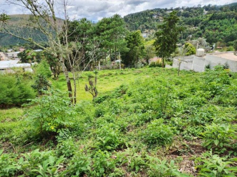 Foto Terreno en Venta en San Juan Sacatepéquez, San Juan Sacatepequez, Guatemala - Q 550.000 - TEV44262 - BienesOnLine