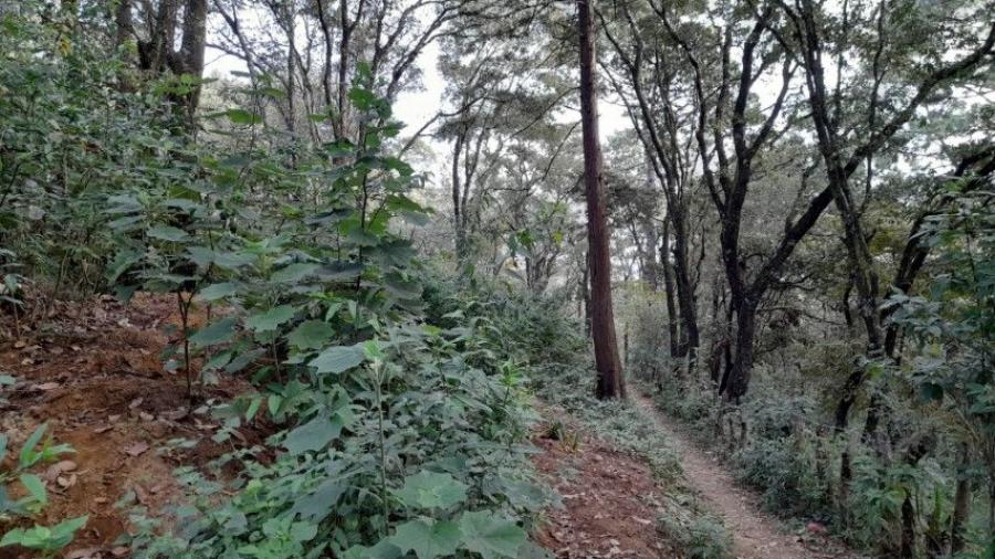 Foto Terreno en Venta en Guatemala, Guatemala - U$D 580.000 - TEV21927 - BienesOnLine