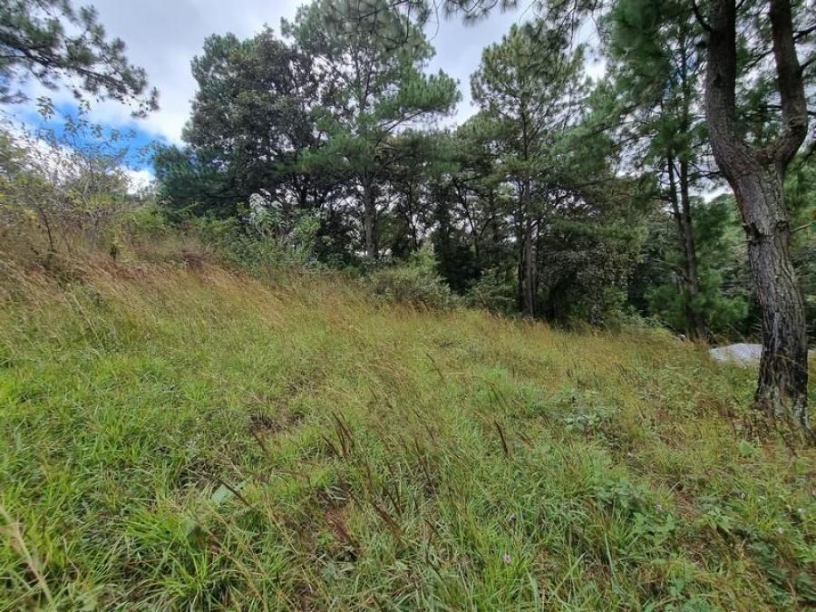 Foto Terreno en Venta en San Juan Sacatepéquez, Guatemala - Q 350.000 - TEV15998 - BienesOnLine