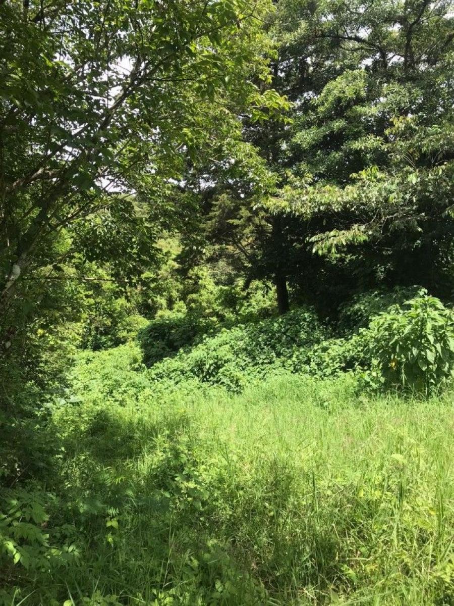 Foto Terreno en Venta en Sumpango, Sacatepéquez - Q 220.839 - TEV33676 - BienesOnLine