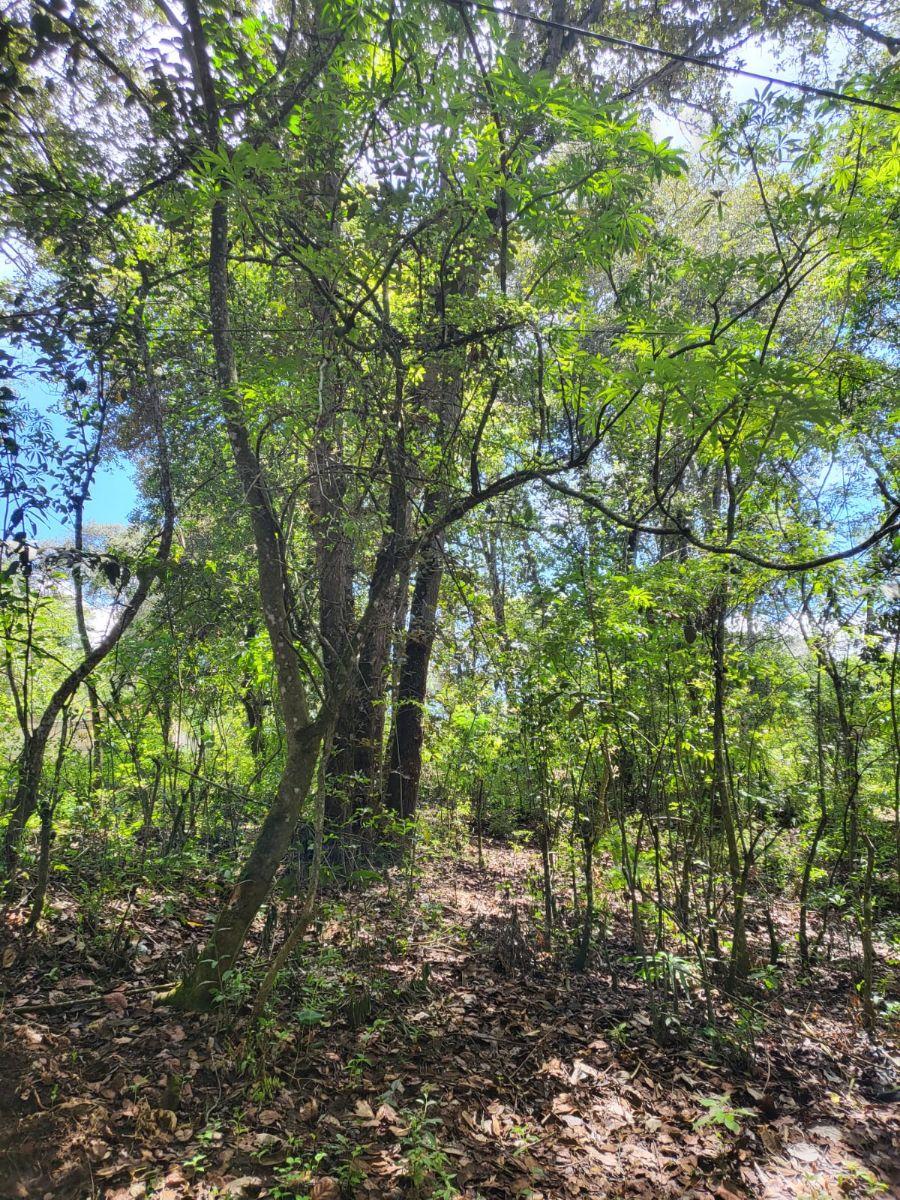 Foto Terreno en Venta en Patulin, San Lucas Sacatepéquez, Sacatepéquez - U$D 125.000 - TEV48882 - BienesOnLine
