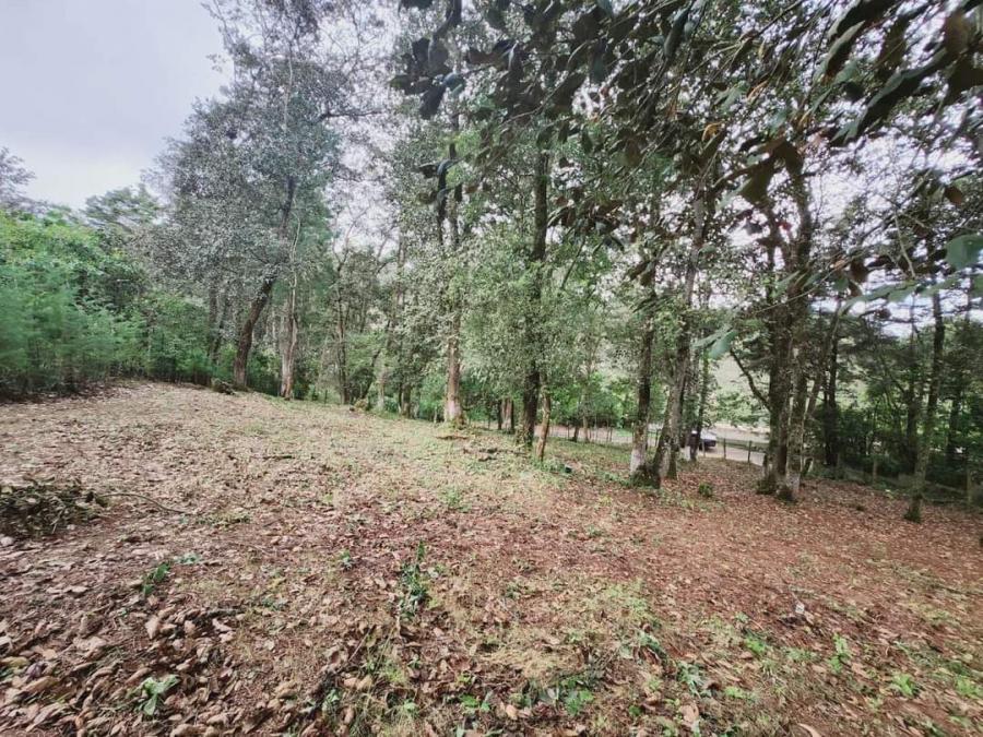 Foto Terreno en Venta en San Lucas Sacatepéquez, Sacatepéquez - Q 300.000 - TEV23473 - BienesOnLine