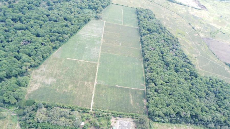 Foto Finca en Venta en Villa Canales, Guatemala - U$D 5.500.000 - FIV49239 - BienesOnLine