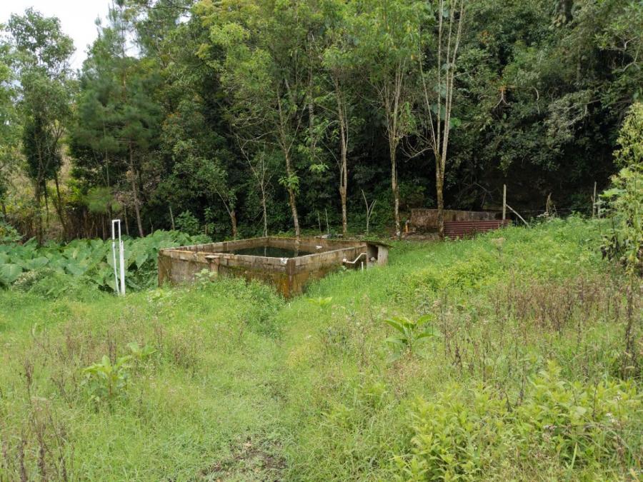 Foto Finca en Venta en San Pedro Carchá, Alta Verapaz - Q 2.500.000 - FIV17214 - BienesOnLine