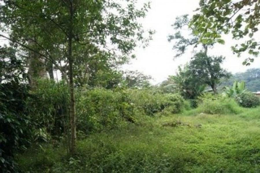 Foto Terreno en Venta en Monjas, Jalapa - Q 179.190 - TEV33677 - BienesOnLine