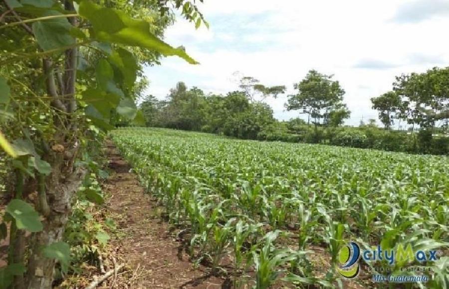 Foto Terreno en Venta en San Antonio Suchitepequez, San Antonio Suchitepequez, Suchitepéquez - Q 605.000 - TEV43985 - BienesOnLine
