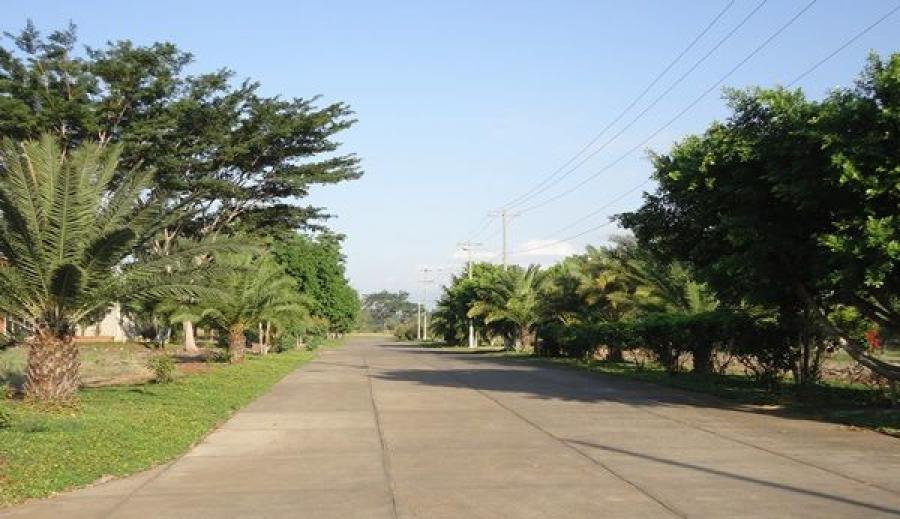 Home in Metric Way