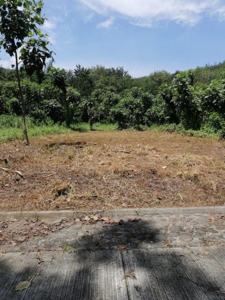 Terreno en Venta en Coatepeque, Quetzaltenango Q 210.000 TEV21034
