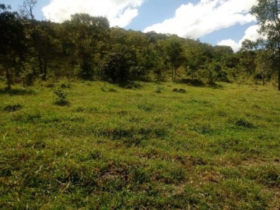 Foto Terreno en Venta en Gualán, Zacapa - Q 108.029 - TEV32049 - BienesOnLine