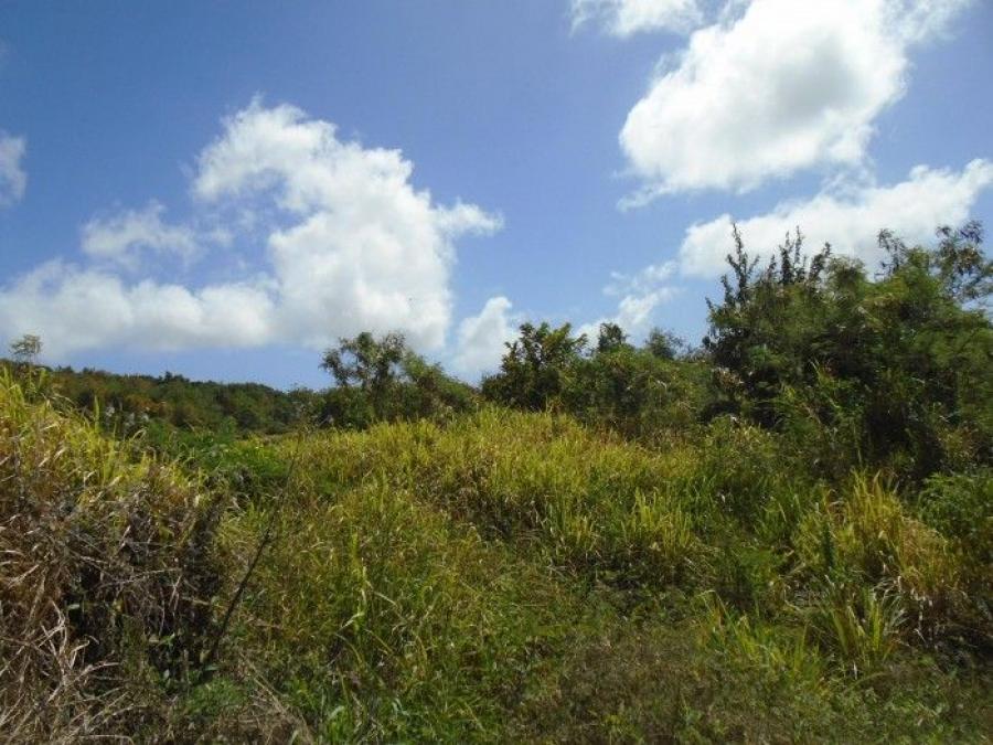 Foto Terreno en Venta en Gualán, Zacapa - Q 123.687 - TEV32048 - BienesOnLine
