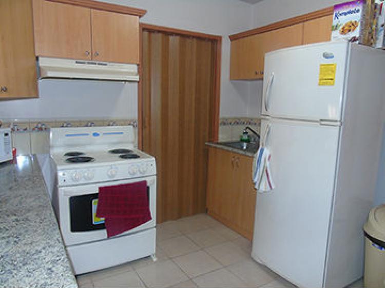 Foto Apartamento en Alquiler en Tegucigalpa, Francisco Morazn - $ 15.000 - APA286 - BienesOnLine