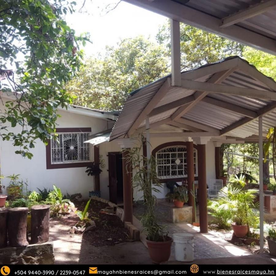 Foto Casa en Alquiler en Tegucigalpa, Francisco Morazn - $ 600 - CAA2451 - BienesOnLine