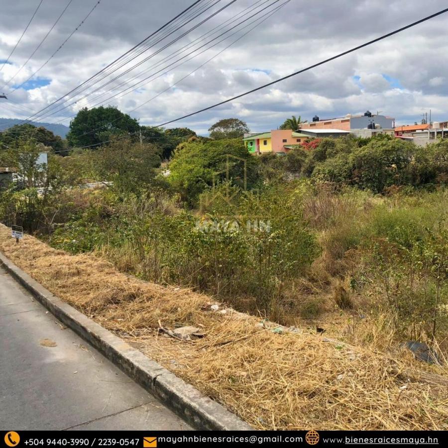 Foto Terreno en Alquiler en Tegucigalpa, Francisco Morazán - U$D 235.200 - TEA2540 - BienesOnLine