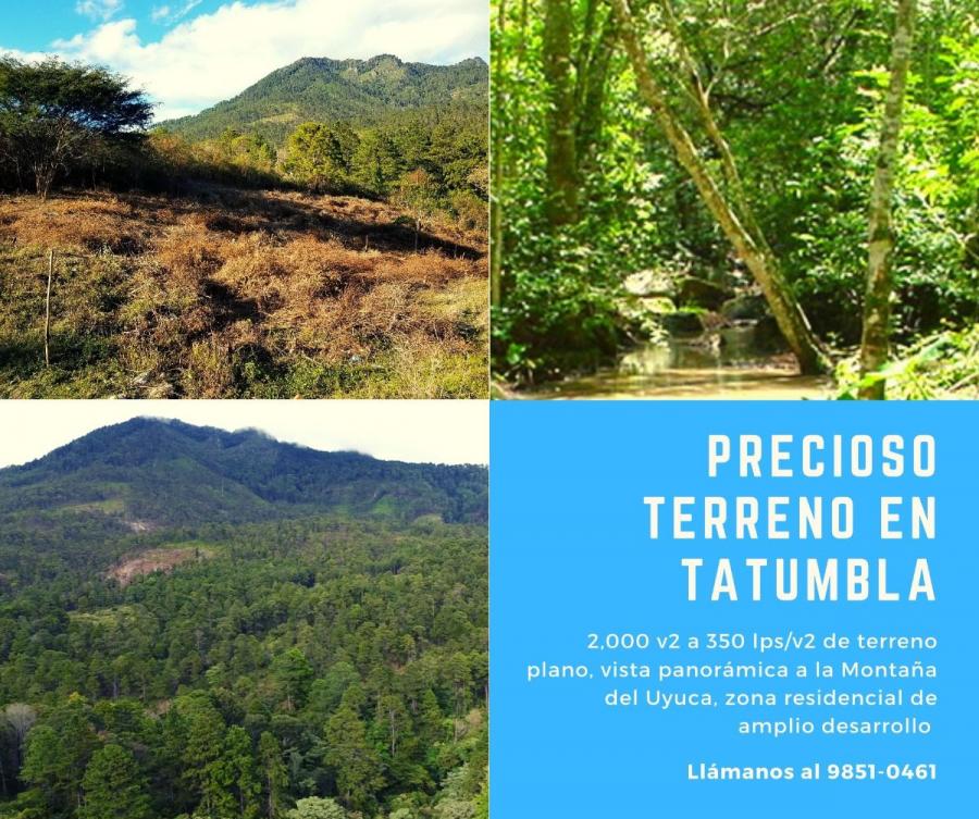 Foto Terreno en Venta en Tatumbla, Francisco Morazn - $ 700.000 - TEV1289 - BienesOnLine