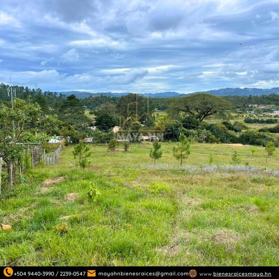 Foto Terreno en Venta en Tegucigalpa, Francisco Morazán - $ 1.573.000 - TEV2441 - BienesOnLine