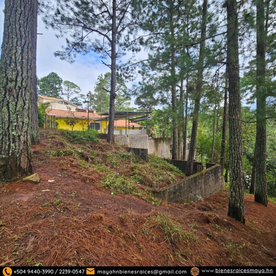 Foto Terreno en Venta en TEGICUGALPA, Francisco Morazán - $ 550.000 - TEV2446 - BienesOnLine