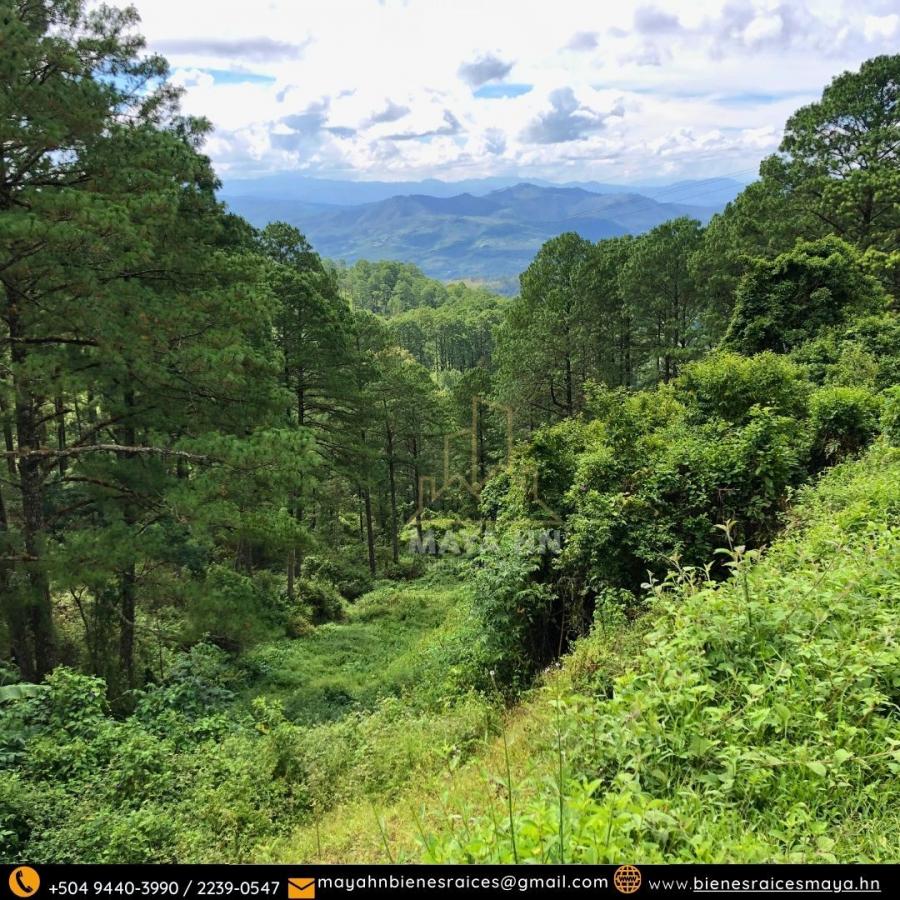 Foto Terreno en Venta en Tegucigalpa, Francisco Morazán - $ 360.000 - TEV2515 - BienesOnLine