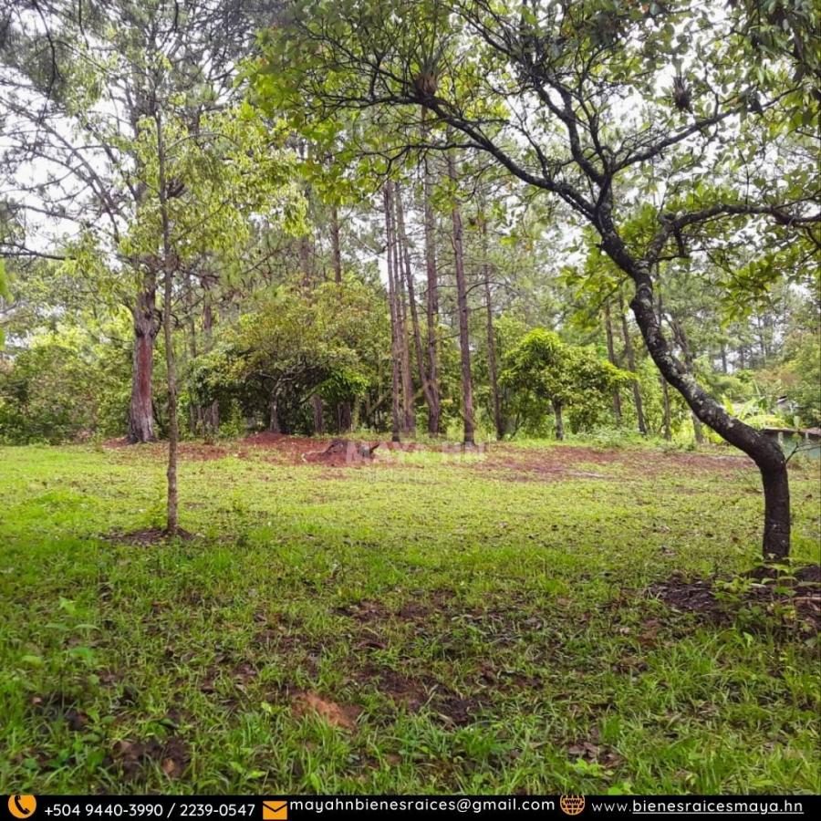Foto Terreno en Venta en Tegucigalpa, Francisco Morazán - $ 3.191.200 - TEV2550 - BienesOnLine