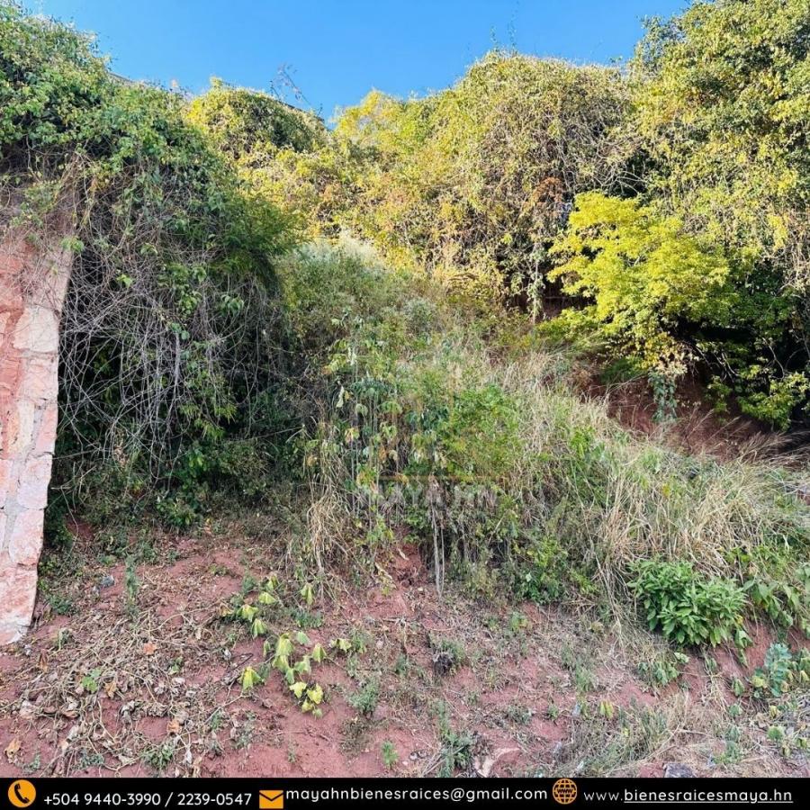 Foto Terreno en Venta en Tegucigalpa, Francisco Morazán - $ 134.100 - TEV2582 - BienesOnLine