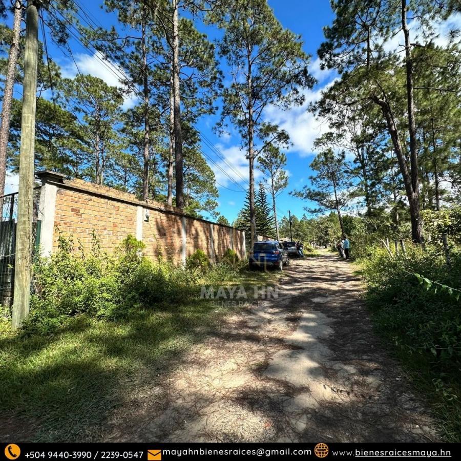 Foto Terreno en Venta en Tegucigalpa, Francisco Morazán - $ 1.800.000 - TEV2599 - BienesOnLine