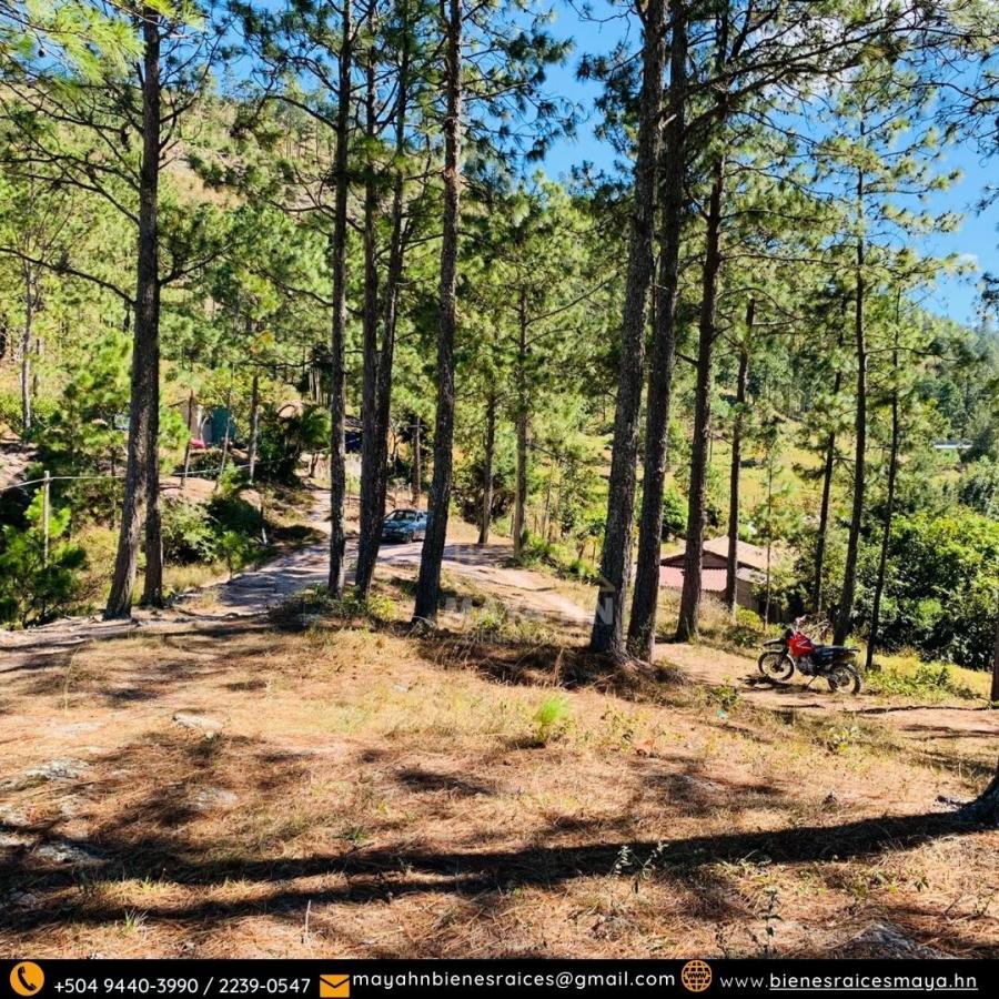 Foto Terreno en Venta en ALDEA CERRO GRANDE, Francisco Morazán - TEV2601 - BienesOnLine