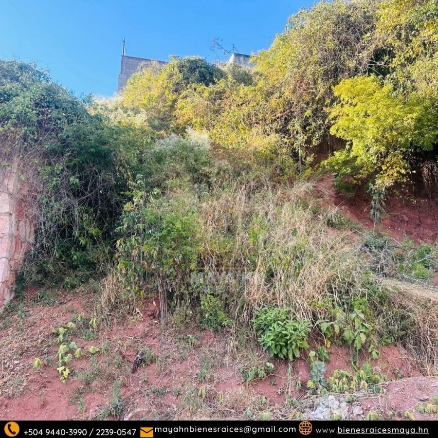 Foto Terreno en Venta en Tegucigalpa, Francisco Morazn - U$D 115.000 - TEV2621 - BienesOnLine