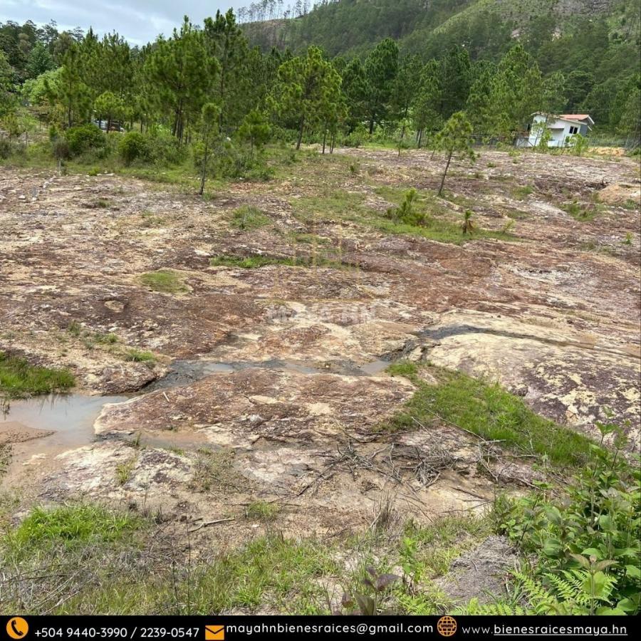 Foto Terreno en Venta en Tegucigalpa, Francisco Morazn - $ 1.800.700 - TEV2626 - BienesOnLine