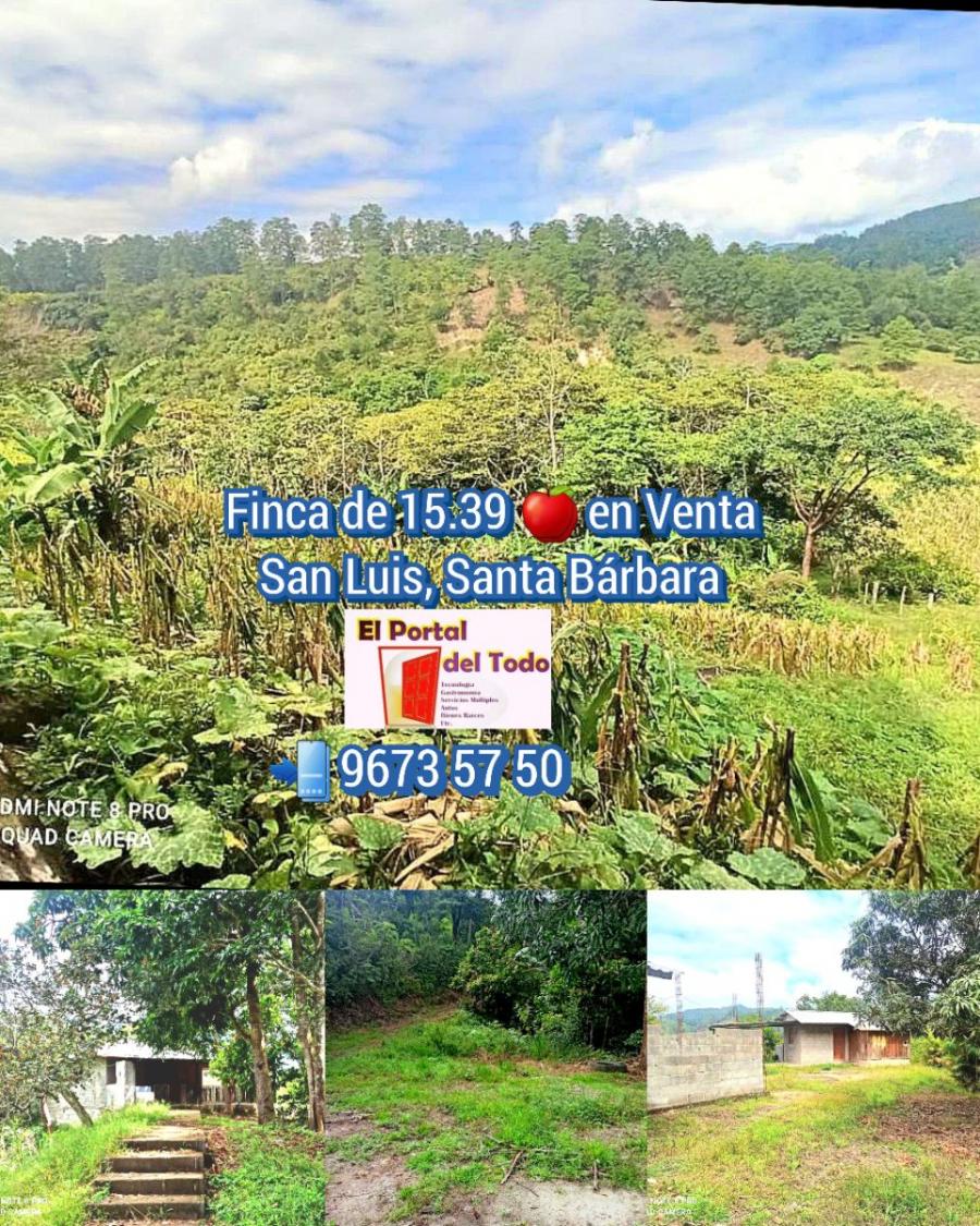 Foto Finca en Venta en San Luis, Santa Bárbara - $ 243.000 - FIV2263 - BienesOnLine
