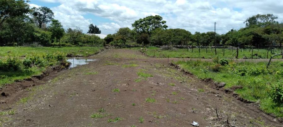 Foto Terreno en Venta en Aldea el bodegón , cerro de Hula, Santa Ana, Francisco Morazán - $ 220.000 - TEV2237 - BienesOnLine