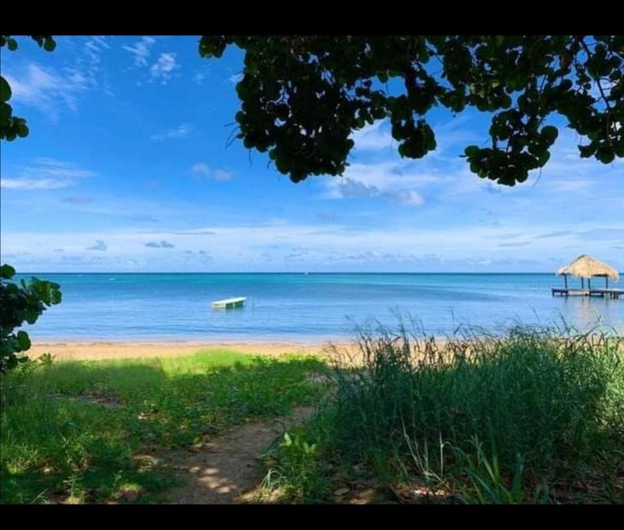 Foto Terreno en Venta en Sandy Bay, Islas de la Baha - U$D 295.000 - TEV1727 - BienesOnLine