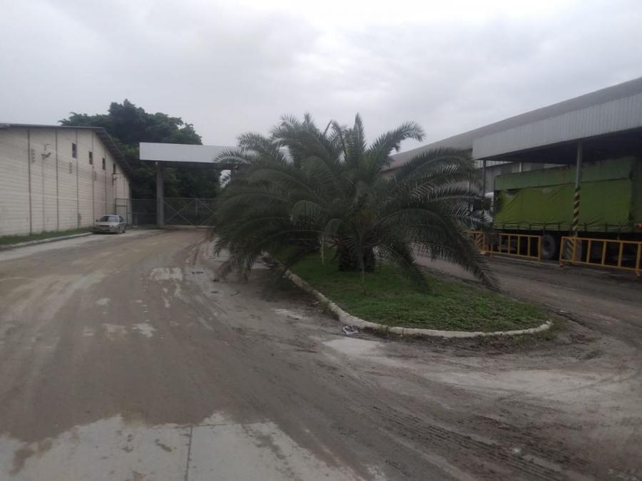 Foto Bodega en Alquiler en San Pedro Sula, Cortés - U$D 16.200 - BOA2492 - BienesOnLine