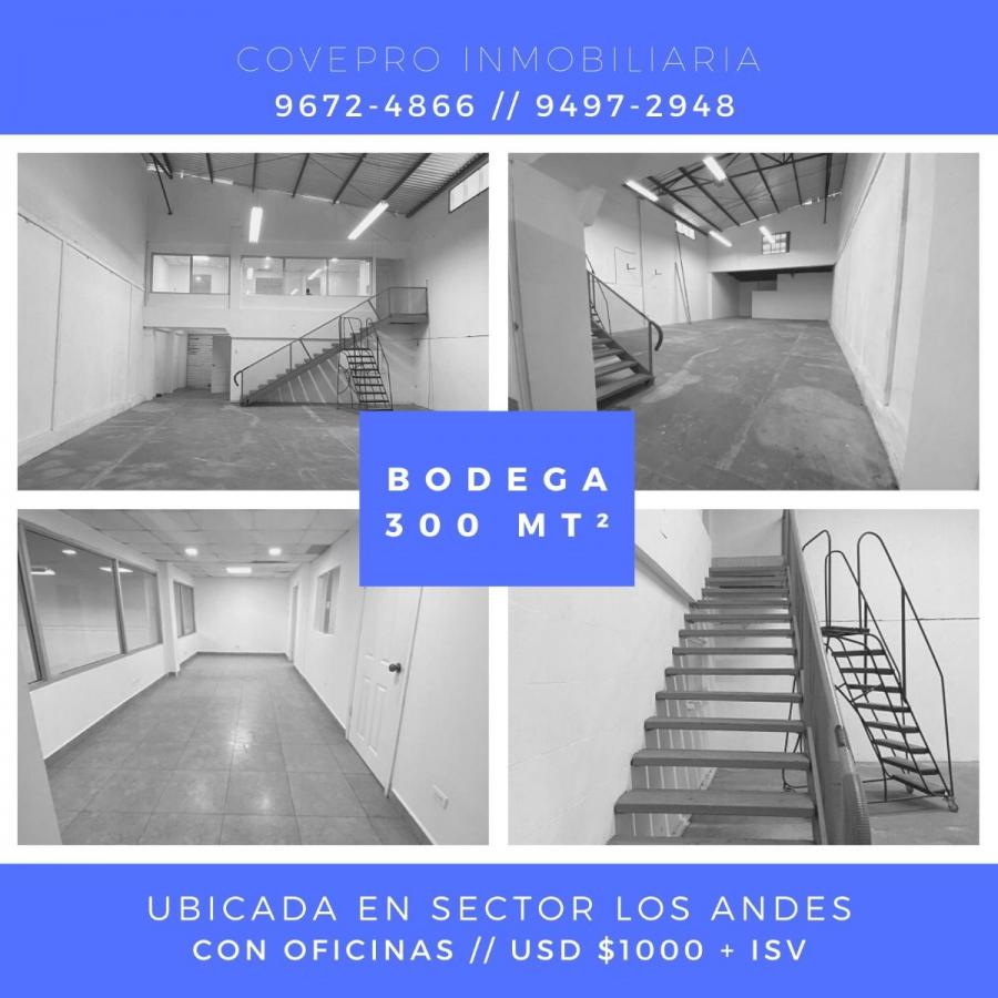 Foto Bodega en Alquiler en San Pedro Sula, Cortés - BOA1423 - BienesOnLine
