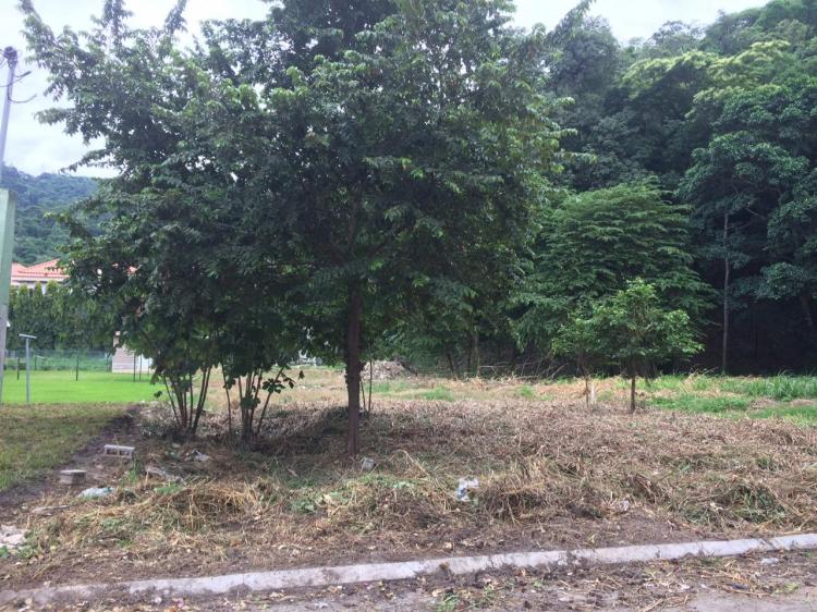 Foto Terreno en Venta en San Pedro Sula, Corts - U$D 150 - TEV622 - BienesOnLine