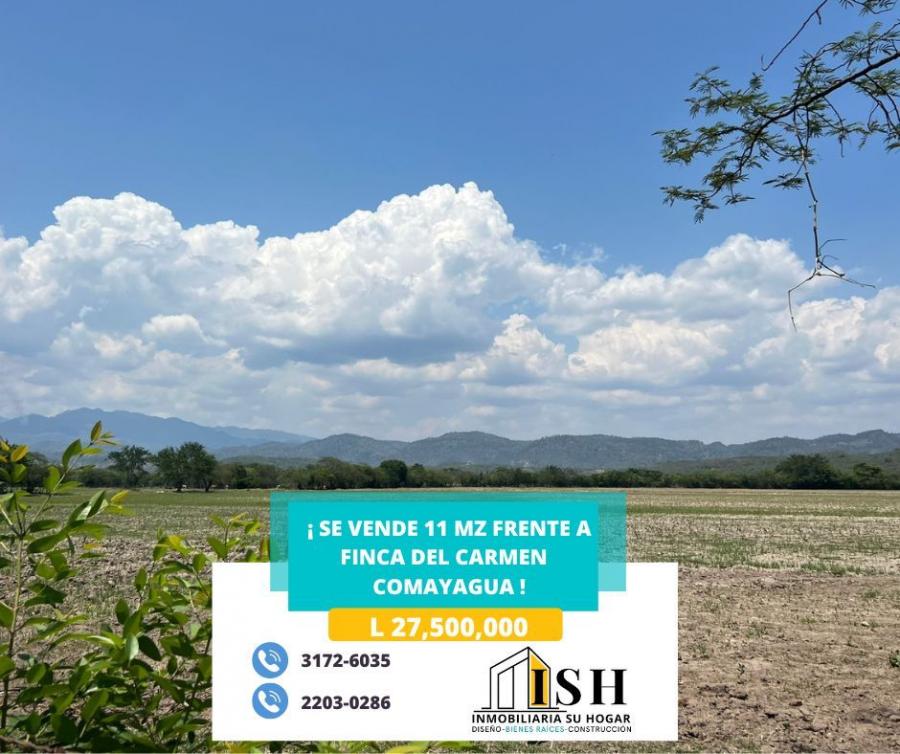 Foto Terreno en Venta en Finca del carme comayagua, Comayagua, Comayagua - $ 27.500.000 - TEV2189 - BienesOnLine