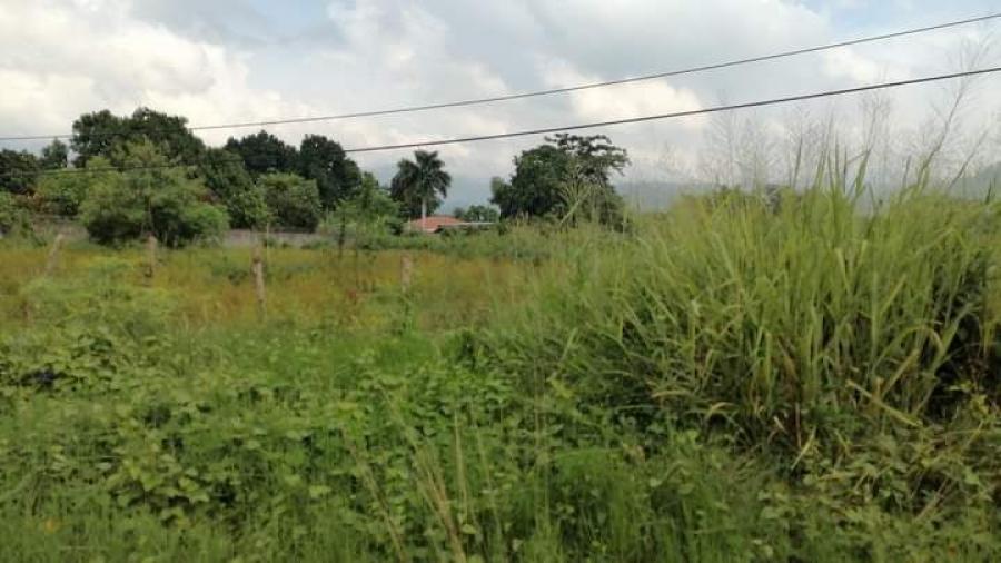 Foto Terreno en Venta en Colonia Fesitrahn San Pedro Sula, San Pedro Sula, Cortés - U$D 472.500 - TEV2391 - BienesOnLine