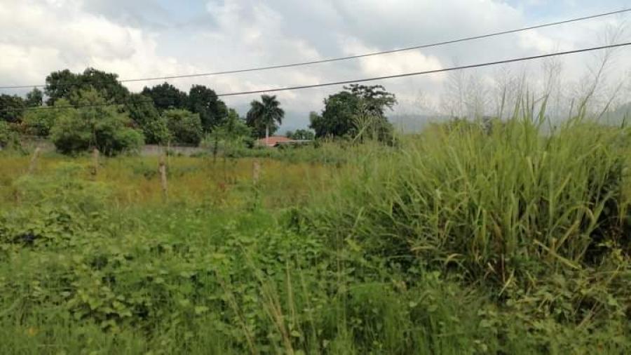 Foto Terreno en Venta en Colonia Fesitrahn San Pedro Sula, San Pedro Sula, Corts - U$D 472.500 - TEV2391 - BienesOnLine