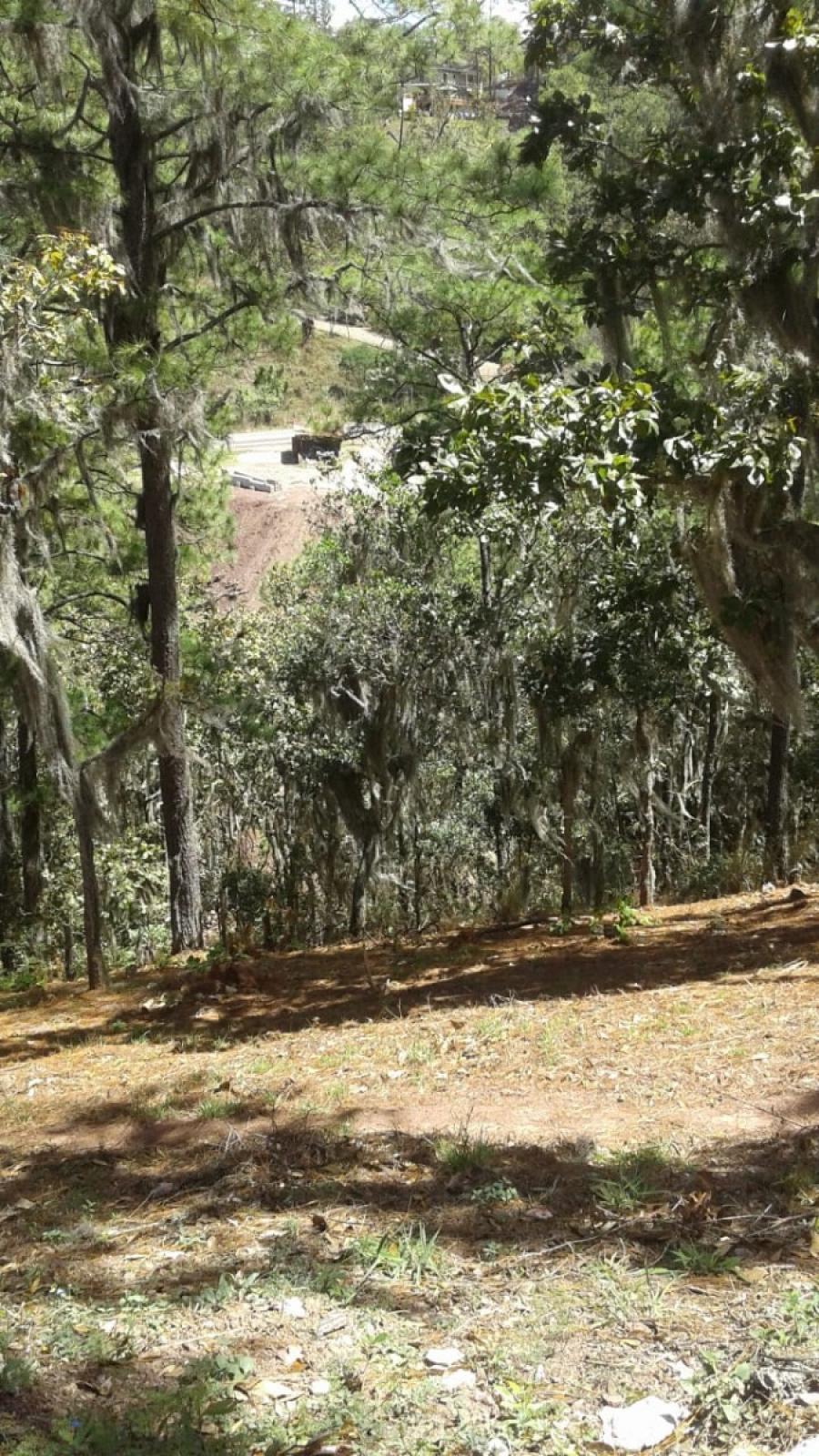 Foto Terreno en Venta en Santa Lucía, Francisco Morazán - $ 1.150.000 - TEV1843 - BienesOnLine