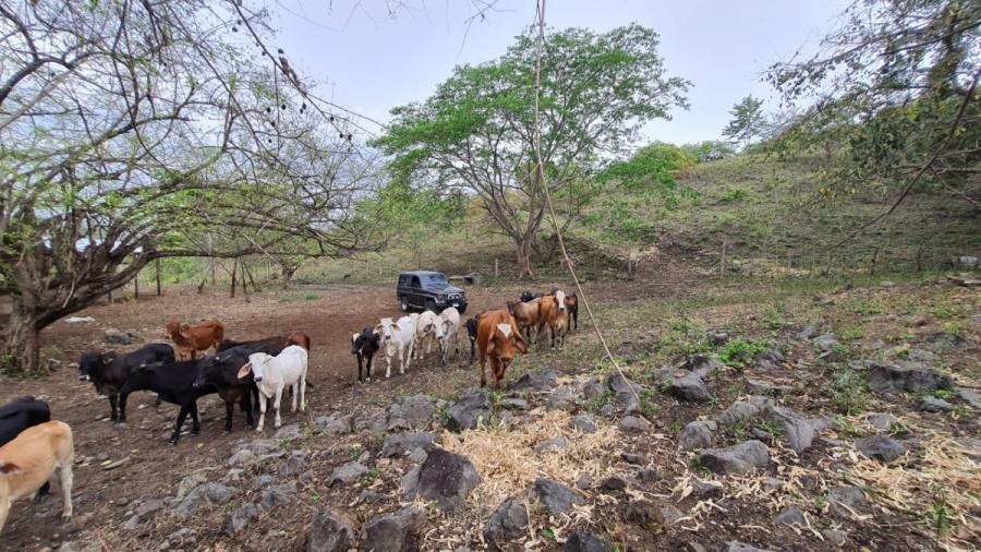 Foto Finca en Venta en TRINIDAD SANTA BARBARA, Trinidad, Santa Bárbara - $ 13.500.000 - FIV2629 - BienesOnLine