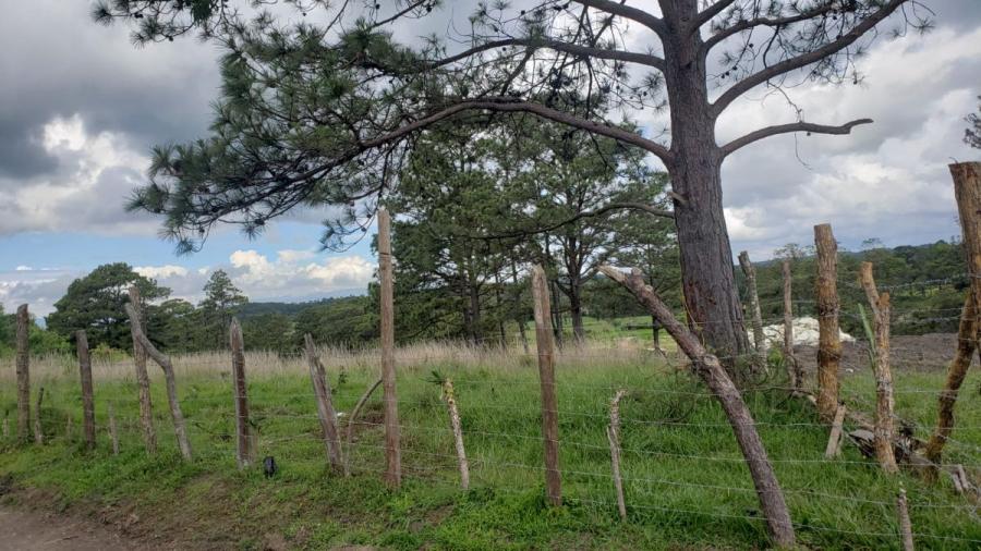 Foto Terreno en Venta en barrio san antonio parte alta, Barrio San Antonio, Intibucá - $ 500.000 - TEV2226 - BienesOnLine