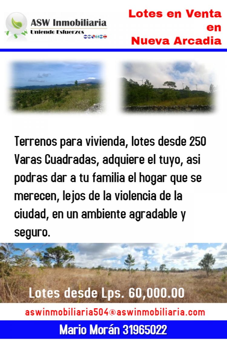 Foto Terreno en Venta en Santa Ana, Francisco Morazn - $ 60.000 - TEV298 - BienesOnLine