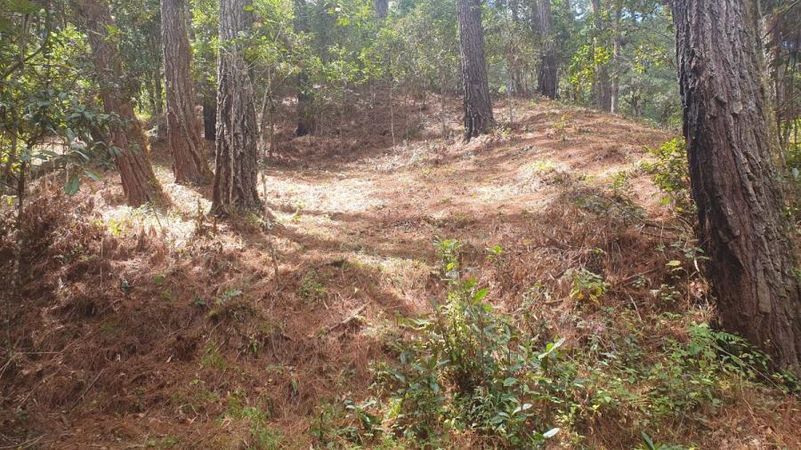 Foto Terreno en Venta en Santa Lucia, Santa Lucía, Francisco Morazán - $ 35 - TEV3038 - BienesOnLine