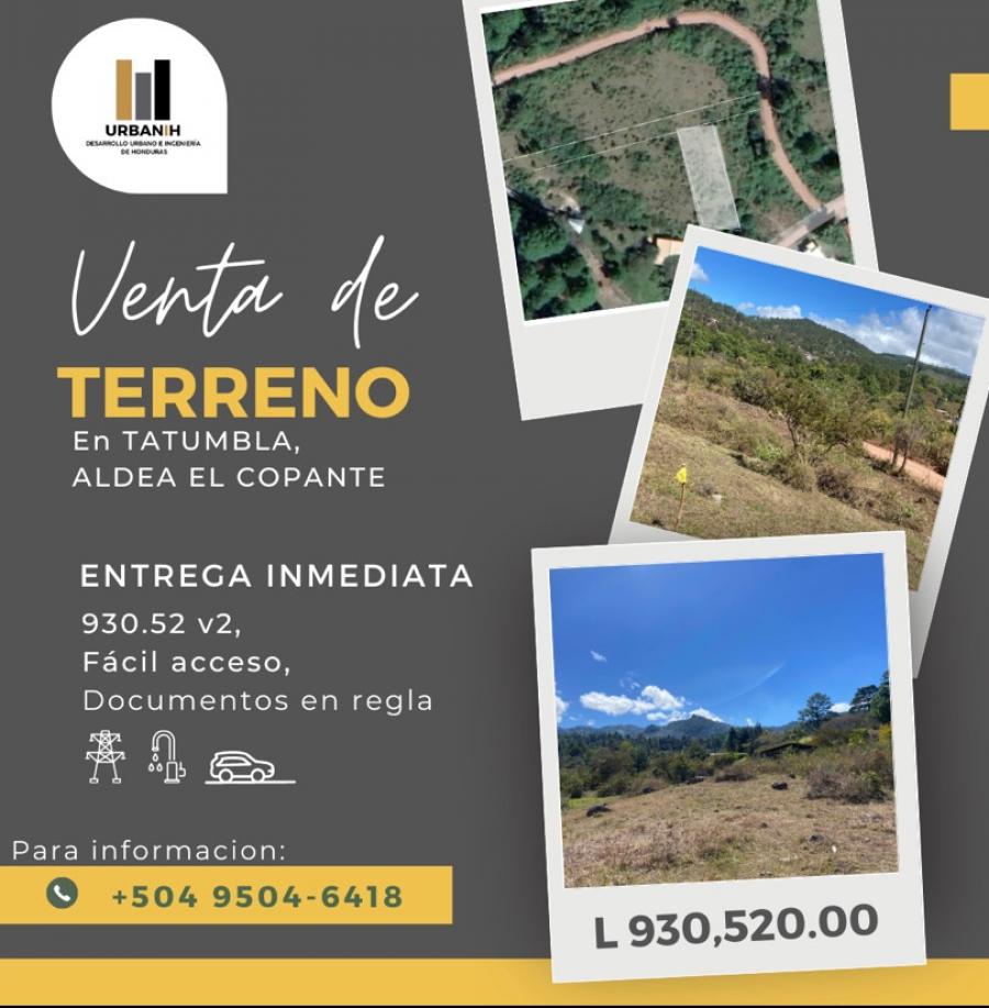 Foto Terreno en Venta en El Copante, Tatumbla, Francisco Morazn - $ 930.520 - TEV2049 - BienesOnLine