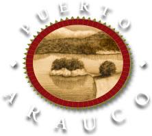 Logo Puerto Arauco