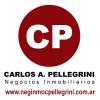 Carlos A Pellegrini Negocios Inmobiliarios